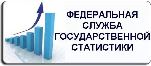 федеральная служба государственной статистики